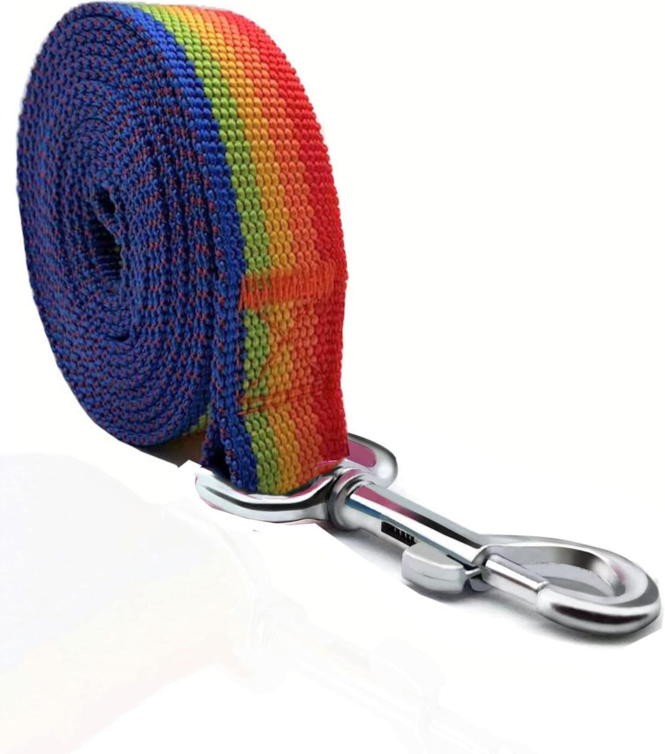 5 FT Strong Dog Leash, Nylon Dog Leashes for Small Medium Large Dogs Blue