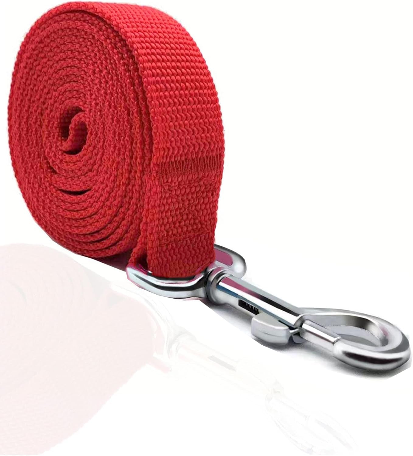 5 FT Strong Dog Leash, Nylon Dog Leashes for Small Medium Large Dogs Blue