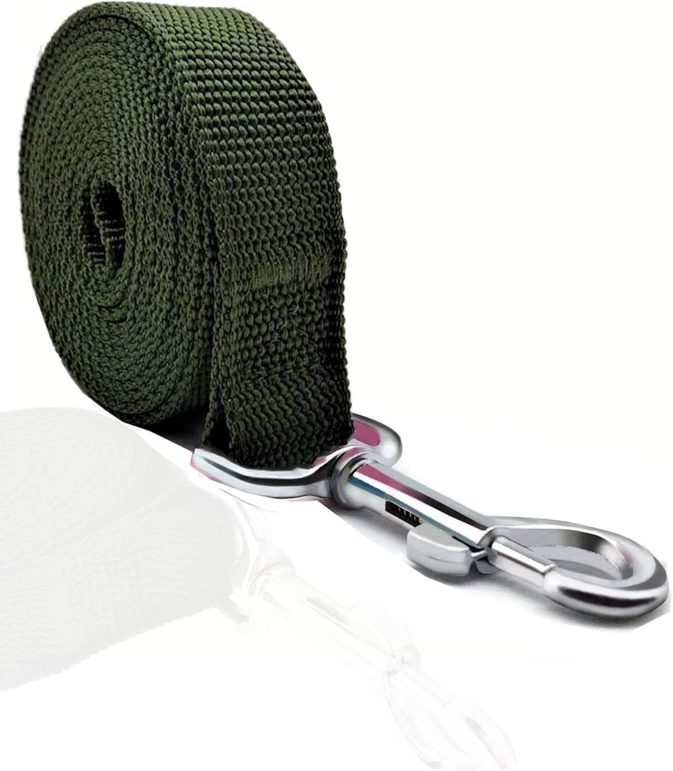 5 FT Strong Dog Leash, Nylon Dog Leashes for Small Medium Large Dogs Blue