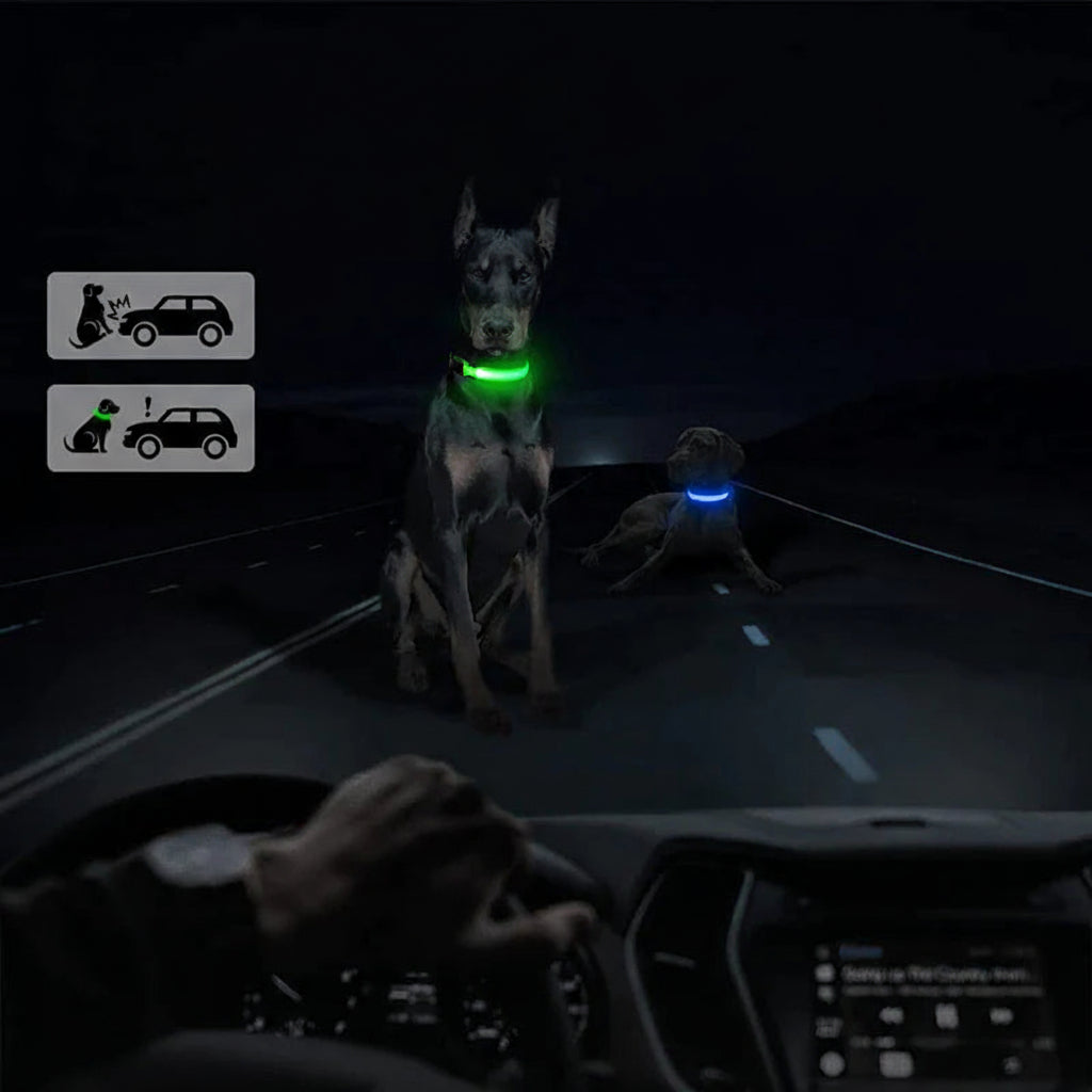 LED Adjustable Dog Collar Blinking Flashing Light up Glow Pets Safety Waterproof