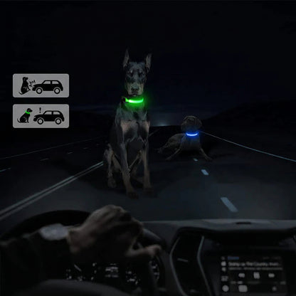 LED Adjustable Dog Collar Blinking Flashing Light up Glow Pets Safety Waterproof
