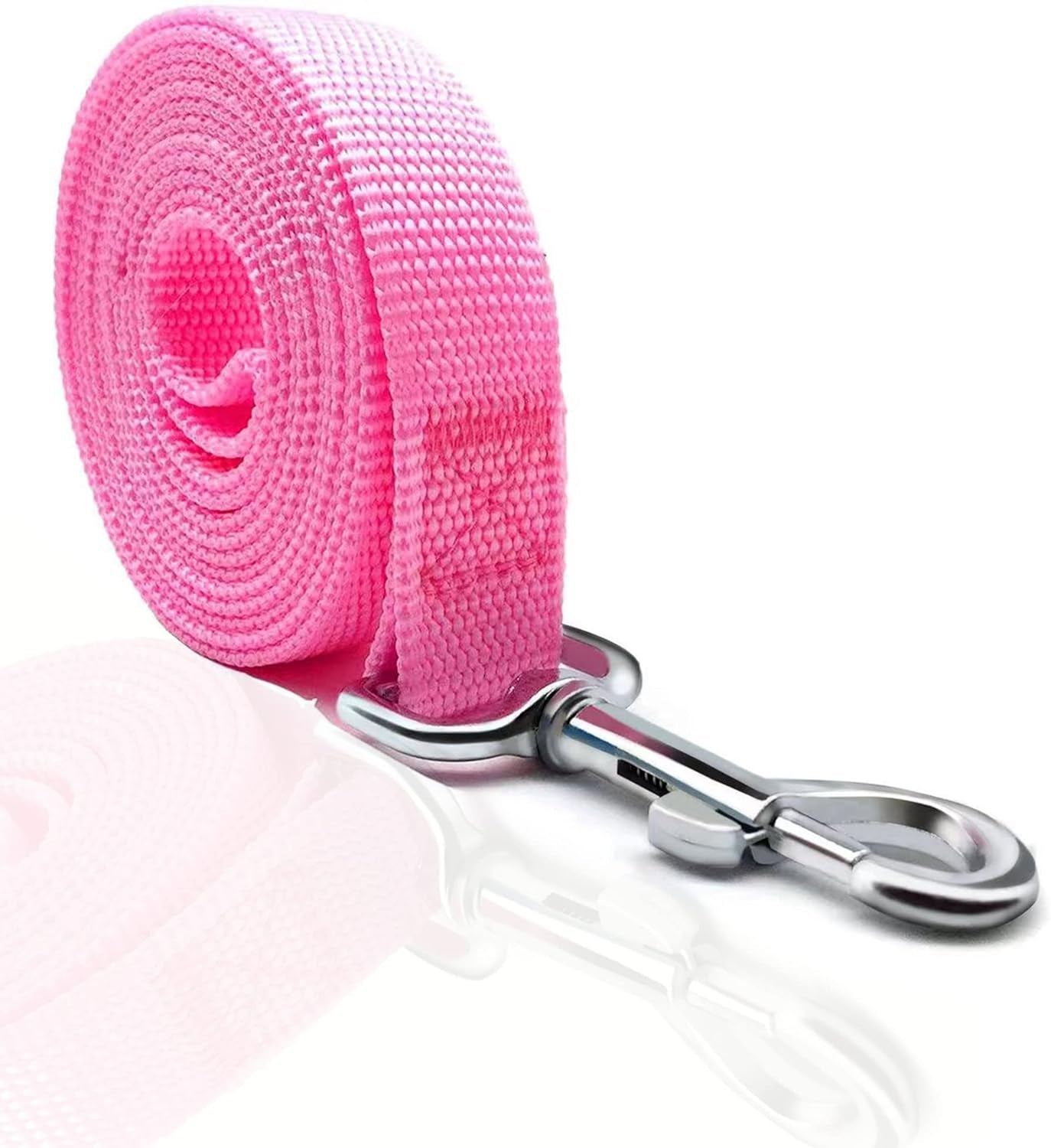 5 FT Strong Dog Leash, Nylon Dog Leashes for Small Medium Large Dogs Blue