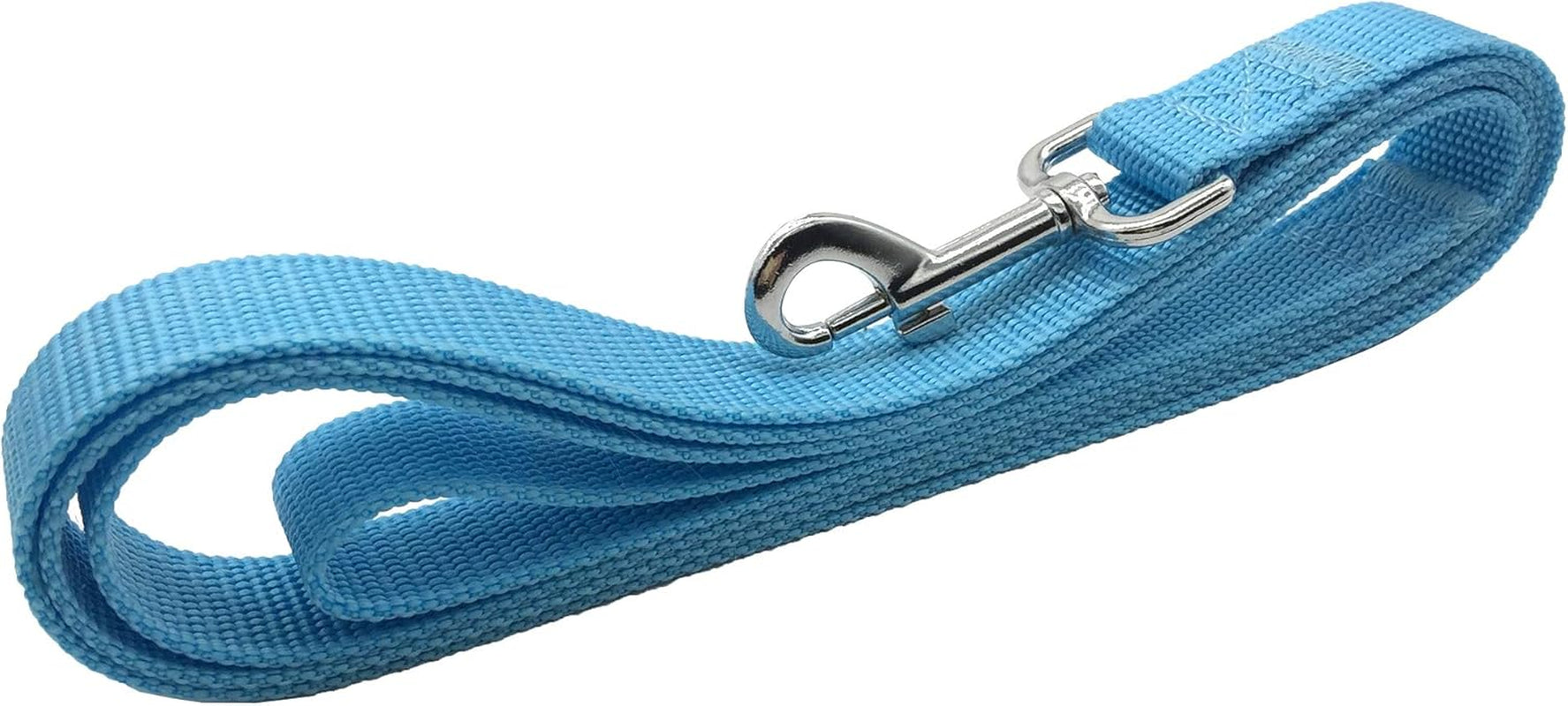 5 FT Strong Dog Leash, Nylon Dog Leashes for Small Medium Large Dogs Blue