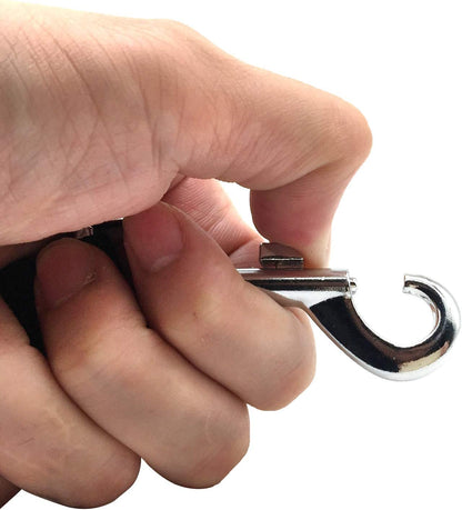 5 FT Strong Dog Leash, Nylon Dog Leashes for Small Medium Large Dogs Blue