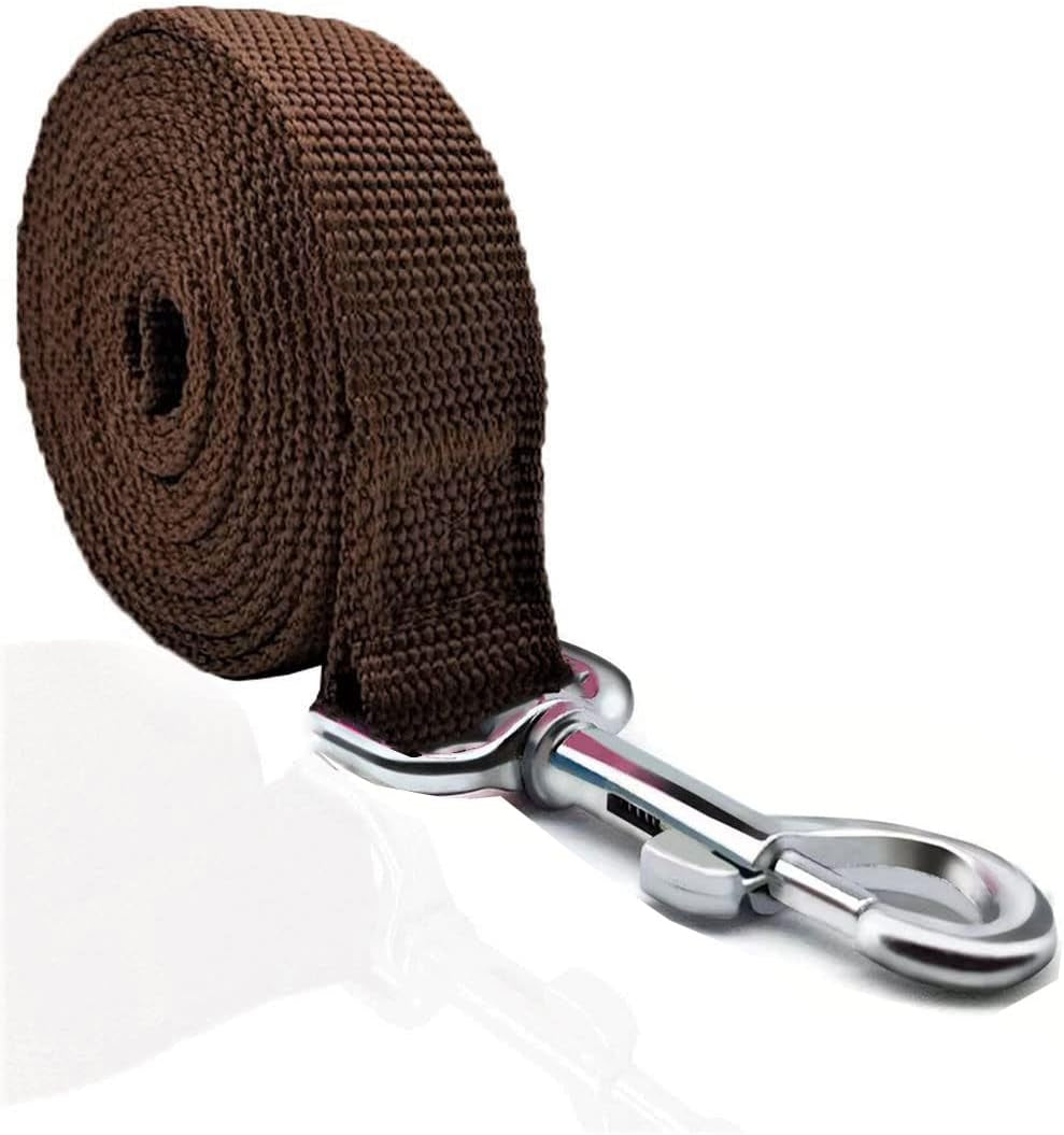 5 FT Strong Dog Leash, Nylon Dog Leashes for Small Medium Large Dogs Blue