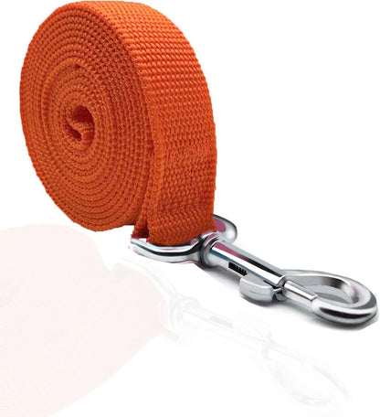 5 FT Strong Dog Leash, Nylon Dog Leashes for Small Medium Large Dogs Blue